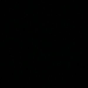 Meet your Posher, Shayla